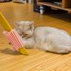 Corner Pet Brush Massage Rubbing Board Multifunctional Silicone Self Grooming Comb Cat Scratcher
