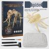 DIY Dinosaur Fossil Excavation Kit for Kids - Blind Box Archaeological Toy Set