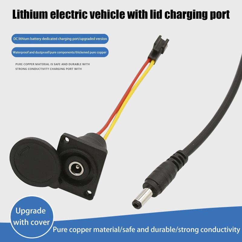Elektrofahrrad Ladegerät Stecker DC2.1 DC2.5 für 36V 48V Li-Ionen Akku Premium Runder Stecker für Outdoor Schnellladung