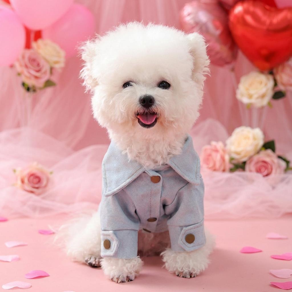 Pet clothes autumn and winter new small dog puppy happy dog cat warm and comfortable little princess denim clothes