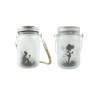 Solar Mason Jar Lights
