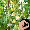 50Pcs Plastic Plant Support Clips Reusable Garden Climbing Plants Securing Vegetable Stems Tomato Grape Vine Fixing Trellis Clips