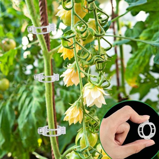 50Pcs Plastic Plant Support Clips Reusable Garden Climbing Plants Securing Vegetable Stems Tomato Grape Vine Fixing Trellis Clips
