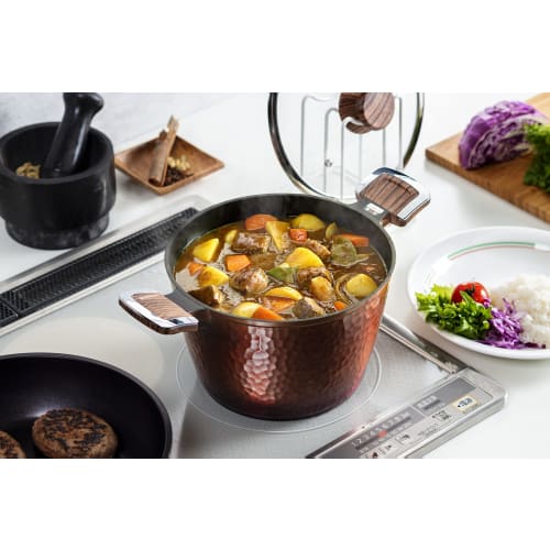 Taniguchi Metal Hammered Forged Pot, 22cm, Induction and Gas Compatible, PFOS and PFOA Free