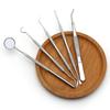 Dental Examination & Tartar Removal Stainless Steel Tool Set - 5 Pieces