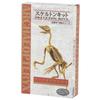Kit Squelette Dino Fantasy Yamasan Archaeopritex Longueur totale 21cm 510286-5