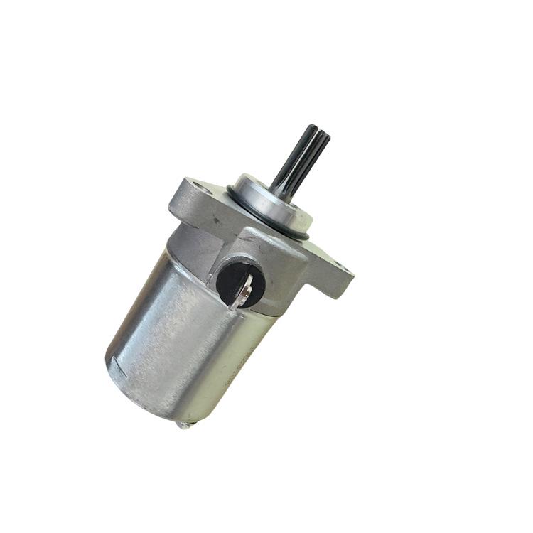 YS150-5 Feizhi 150/YBR150 Motorcycle Starter Motor Accessory
