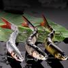 Przynęty Wędkarskie Wieloczęściowy Swimbait Crankbait Wolno Tonący Bioniczna Sztuczna Przynęta Woda Słodka Słona Pstrąg Bas Akcesoria Wędkarskie