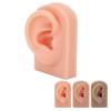 Silicone Ear Model Soft Flexible Right Ear Reusable Human Ear Model for Ear Piercing Training And Ea