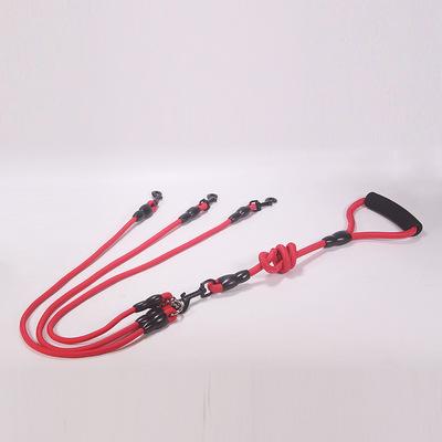 Cani – Collari e guinzagli per cani