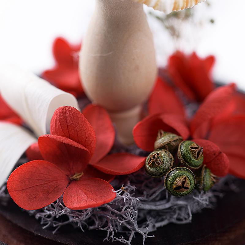 Eternal Flower Dried Flower Glass Cover Cylindrical Small Sea Urchin Night Light Gift Ornament Holiday Gift for Children and Friends