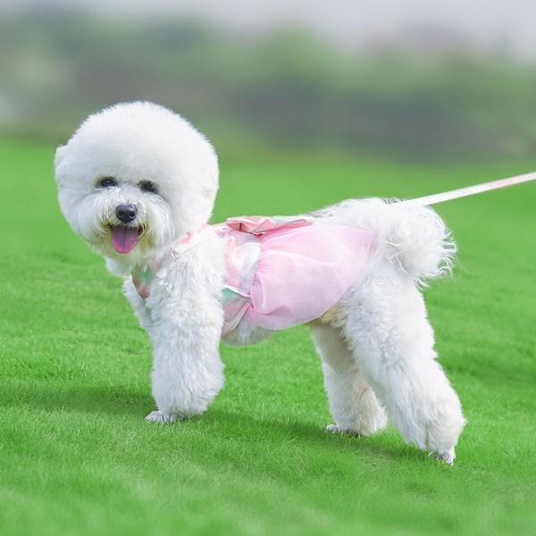 Ranboer Pet Gradient Ribbon Skirt Harness Set, Type A