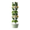 Space Tree Hydroponic Tower for Rooftop Balcony Vertical Soilless Cultivation Veg Growing Box