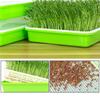 1set Sprout Dish Growing Pot Hydroponic Vegetable Beans Seeding Pot Household Plants Germination Tray Nursery With Lid Kits