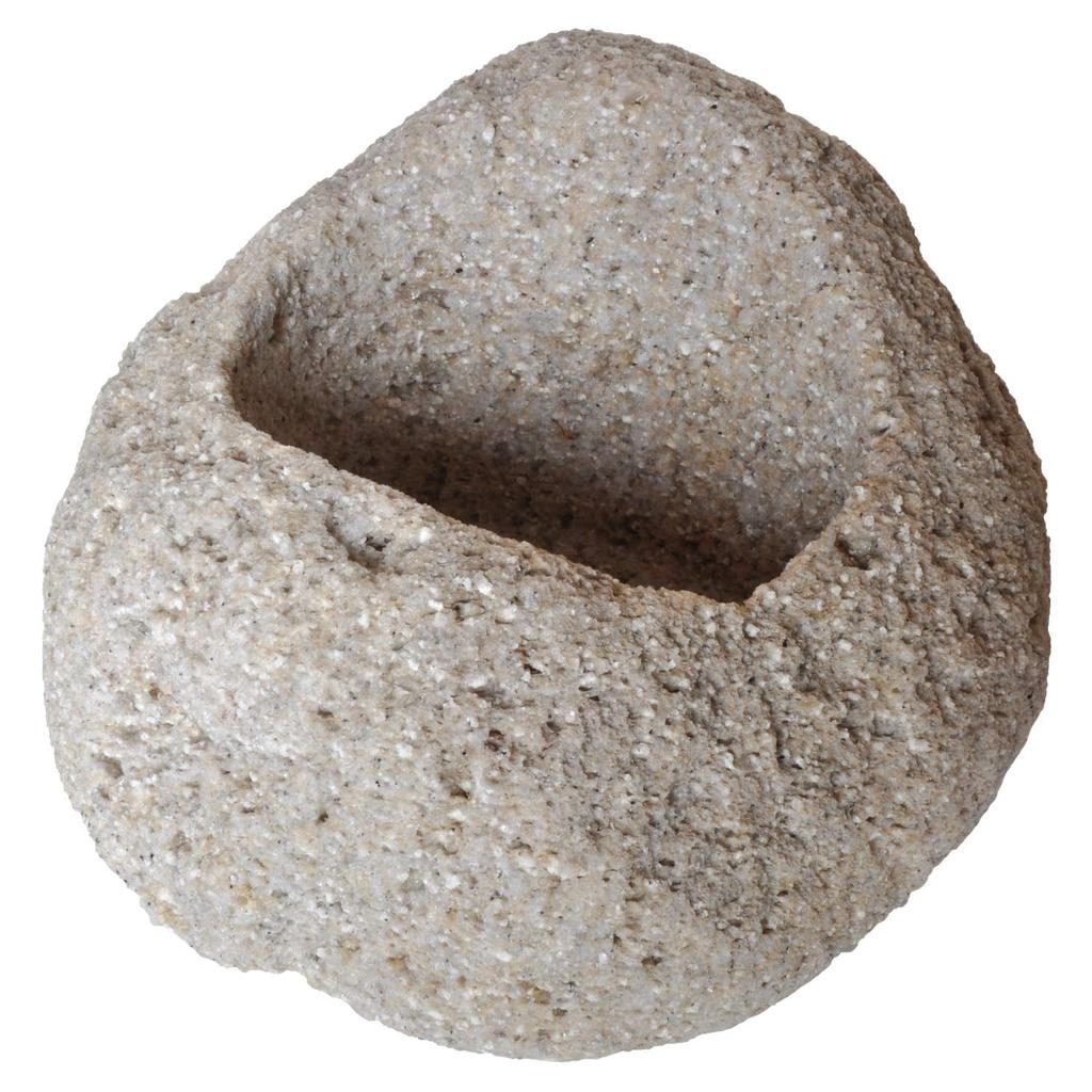 Kobohayachine Fireproof Pumice Large Size For growing wild and succulents Pot, - plants, bonsai,