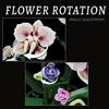 Textured Orchid Flower Building Blocks Set - Floral Home Decor & Christmas Gift Idea (DIY Artificial Blooms) 736PCS
