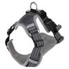 Haustiergeschirr Verstellbar Atmungsaktives Netz Explosionsgeschützt Haustierweste Geschirr für Outdoor-Aktivitäten Nachtspaziergang Grau