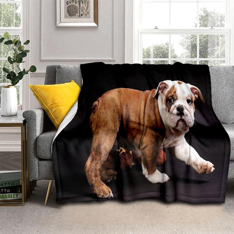 3D Francouzský Pit Bull Pes Domácí Mazlíček Kreslenádeka, Měkká Přehozovádeka pro Domov Ložnici Postel Pohovku Piknik Cestování Kancelář Krycídeka Děti