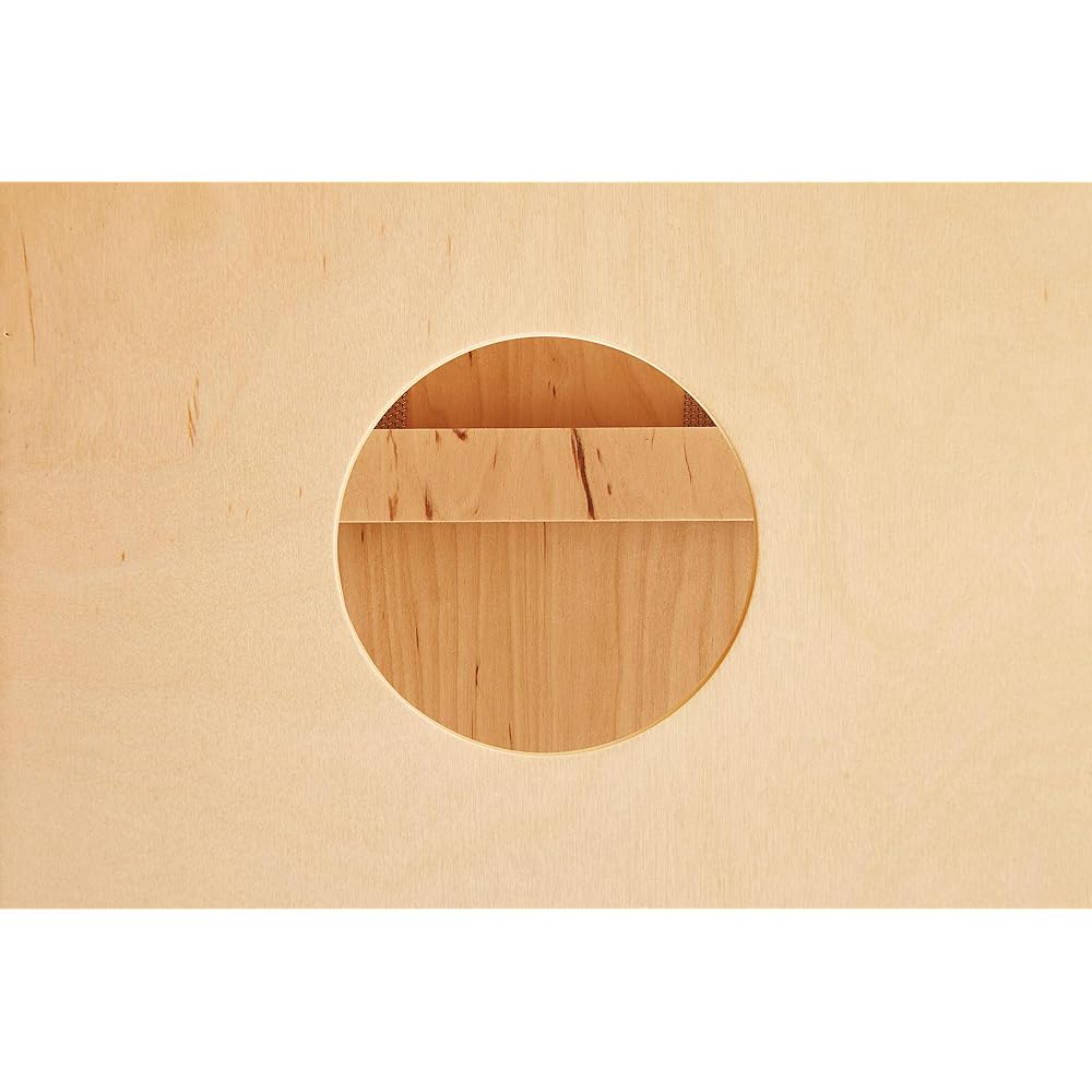 MEINL Percussion Jam Cajon JC50HA [Official Japanese Product]