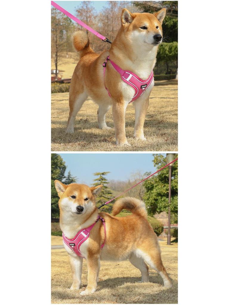 Harnais Gilet Respirant Réglable & Laisse pour Chiens de Petite à Moyenne Taille - Sans Rembourrage, Sans Étranglement, Idéal pour les Shiba Inus & Bouledogues Français