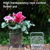 Flowerpot Acrylic Transparent Orchid Planter Breathable Hydrophobic Bottom Drainage Plant Pot Tuber Growth Planter