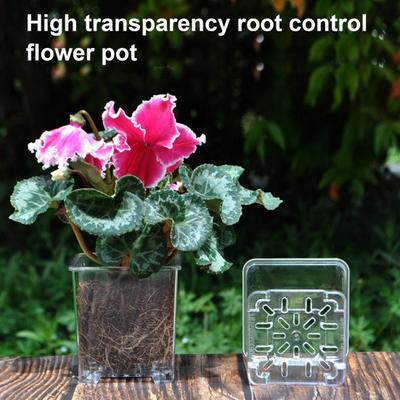 Maceta Acrílica Transparente Maceta para Orquídeas Transpirable Fondo Hidrofóbico Drenaje Maceta para Plantas Maceta para Crecimiento de Tubérculos