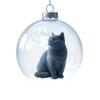 Klarer Weihnachtsschmuck - Transparente Kugel mit Design für die Weihnachtsbaumdekoration