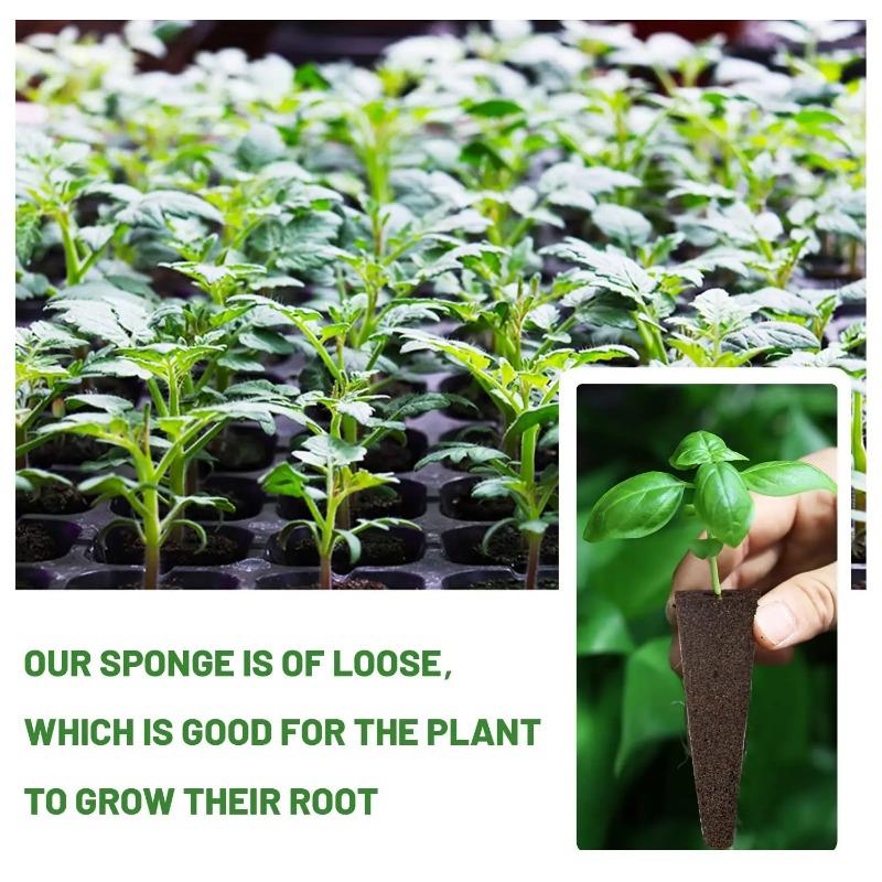 50Pcs Seed Grow Sponges Replacement Root Growth Sponges Seedling Starter Plugs Seed Starting Seed Pod Hydroponic Garden Planting