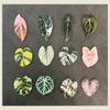 6pcs Begonia Monstera Magnetic Refrigerator Magnets, Kawaii Tropical Plants Refrigerator Magnets, Whiteboard Magnets