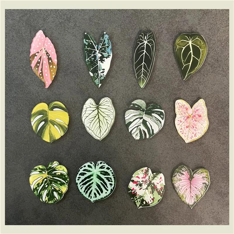 6pcs Begonia Monstera Magnetic Refrigerator Magnets, Kawaii Tropical Plants Refrigerator Magnets, Whiteboard Magnets