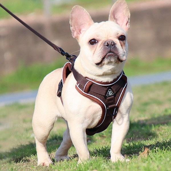 Dingdongpet Dog Anti-skimming Mesh H-type Harness, Brown