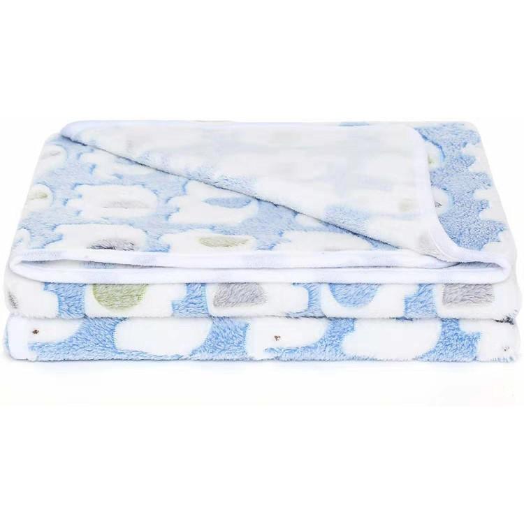 Luxury New Design Coral Fleece Puppy Pet Blanket Washable Fluffy Indoor Outdoor Bed Blanket with Print Style for Dogs