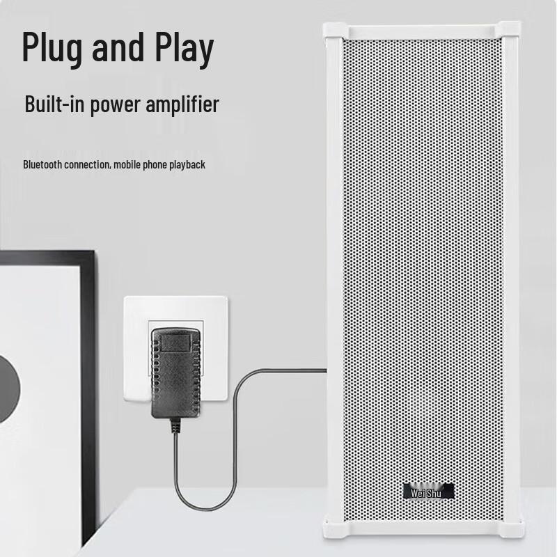 Weishu Wireless FM Broadcast Wall Speaker