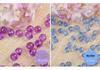6-30MM Transparent Earth 96-Facet Acrylic Beads for Door Curtains & DIY Bracelets