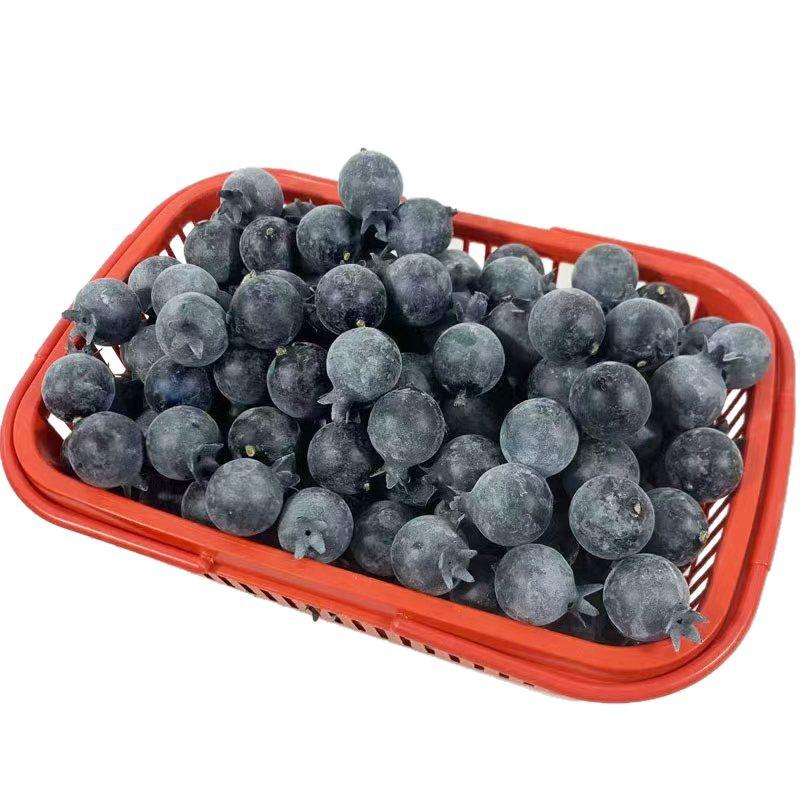Blueberry Foam Model Fake Fruit & Vegetable Props for Photography Displays & Fresh Fruit Toys