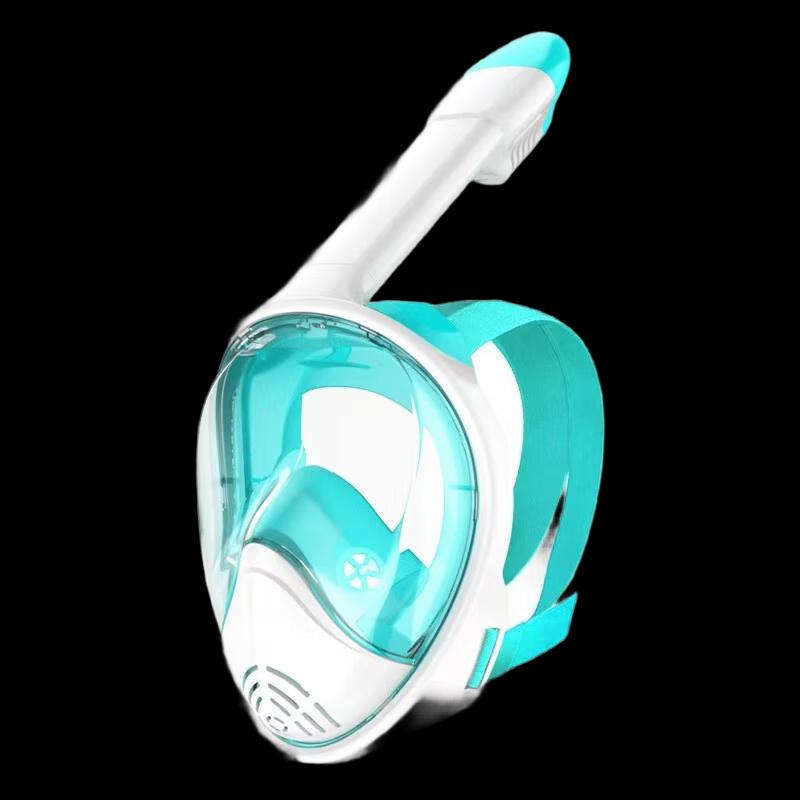 Longchan Full Face Myopia Snorkeling Mask