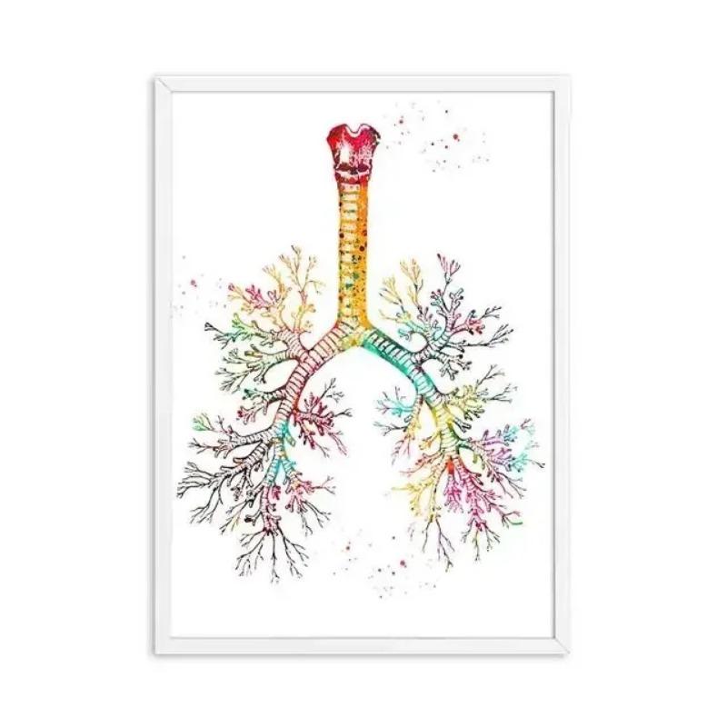 Human Anatomy Muscular System Wall Art Canvas Painting  Medical Education Poster for Home Decor Office Clinic  Body Posters Prin