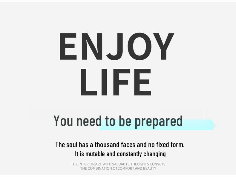 2022 Gemini Pro 2.0ATK Leather Car Seat Cover Cushion