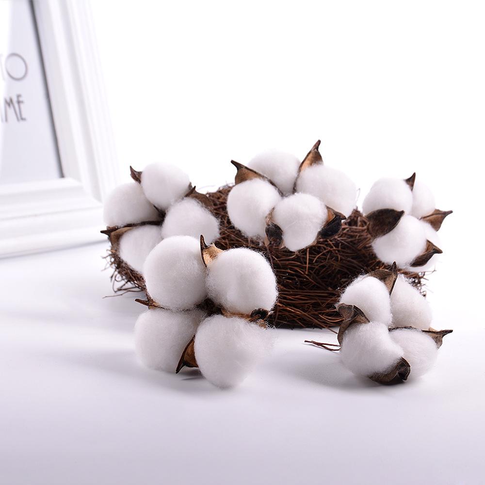 Christmas Pine Cones & Dried Flowers Pack - Eucalyptus, Pine Wood, Cotton, Handmade Photography Props
