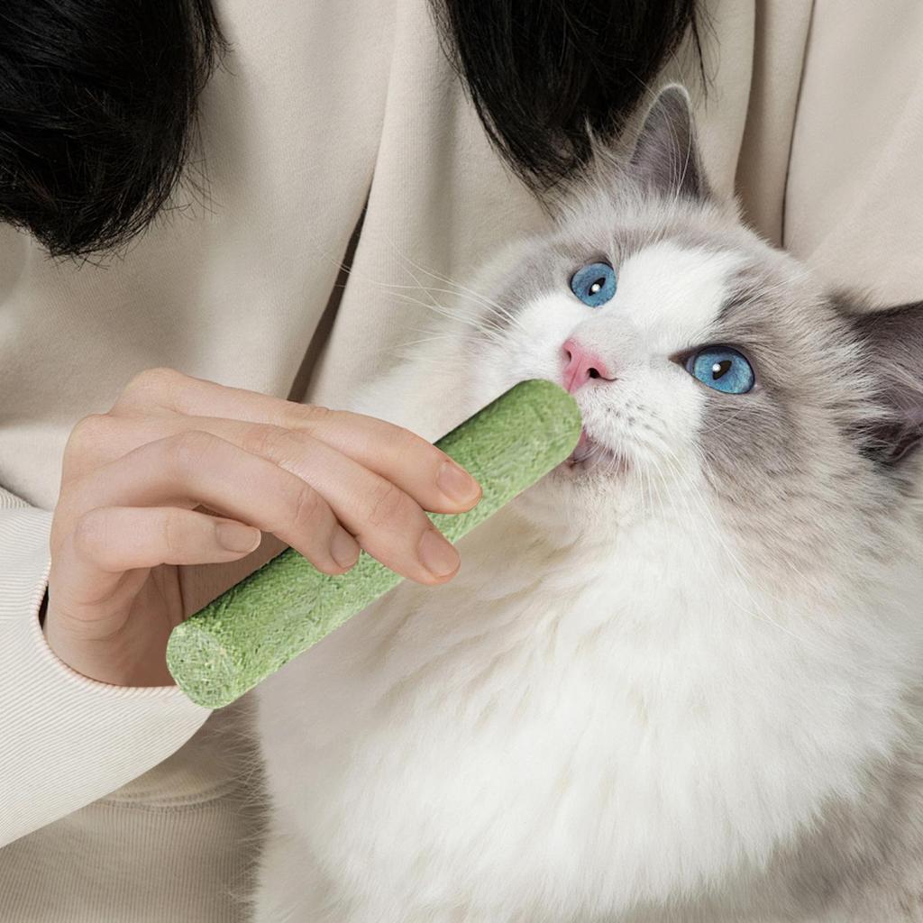 Cat Grass Teething Sticks Chew Toy Kitten Cat Mouth Healthy Teeth Cleaning Pet Snacks Cat Grass Stick Cat Teeth Grinding Stick