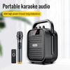 Wireless Column Outdoor Karaoke Bluetooth Speaker Portable FM Radio TWS Subwoofer Soundbox With Mic W-king T5 Square Dance Audio