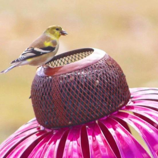 Bird Feeder, Painted Iron Bird Feeder with Petal-Top Grain Storage, Iron Art Design Bird Feeder for Hummingbirds And Finches Outdoor Garden Decoration