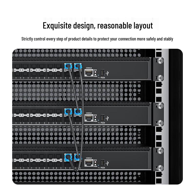 Shanze SFP28+ 25G DAC Cable