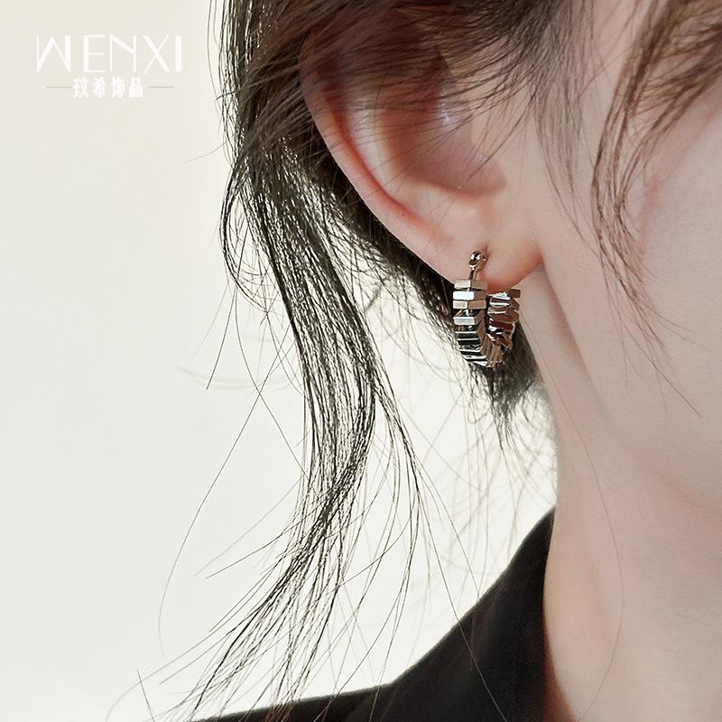

A few taels of broken silver earrings, niche design ins earrings, new popular women s light luxury high-end autumn and winter earrings