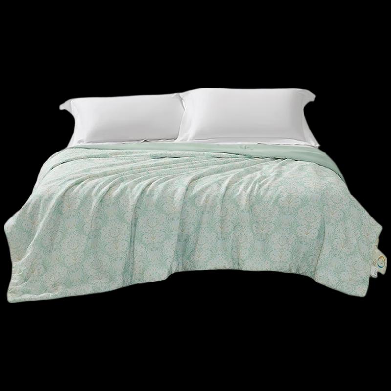 Mercury Home Tencel Tussah Silk Summer Quilt