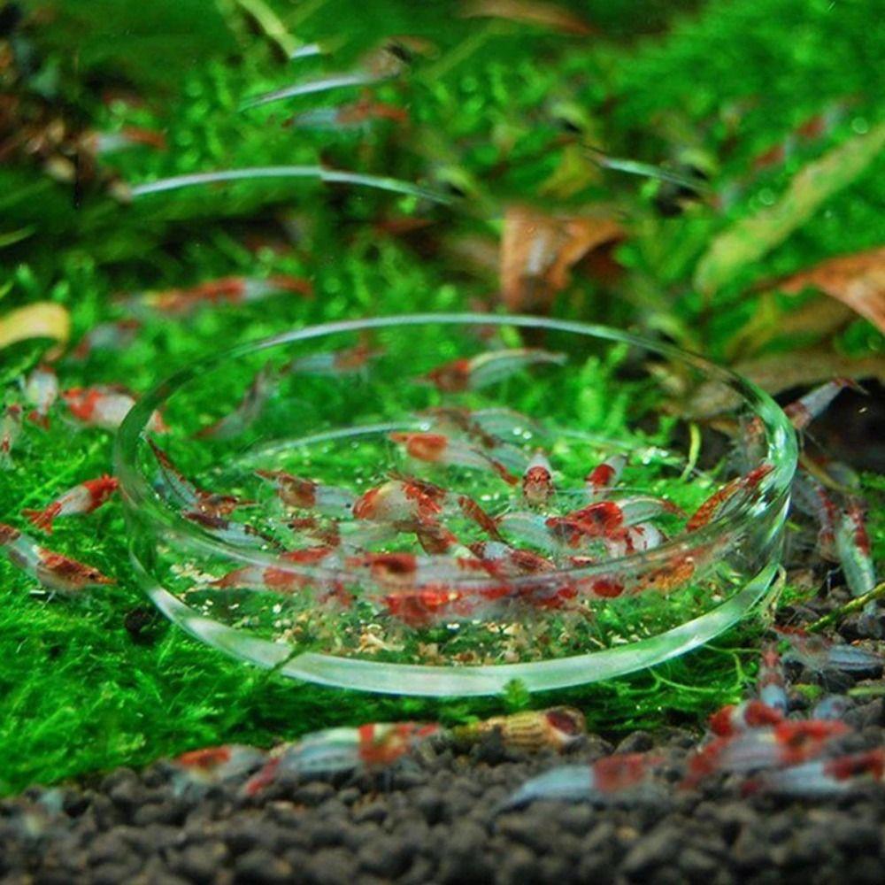 With Suction Cup Aquarium Fish Tank Feeder Set Transparent Shrimp Feeding Tube New Feeder Bowl
