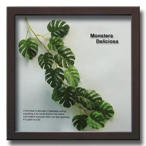 Handgefertigtes japanisches Blattpaneel, Monstera Deliciosa 3, Hergestellt aus Ayu-Stroh, Inklusive Aufstellanleitung. Wandmontiertes, gerahmtes Blattpaneel, Kunstpaneel, Li