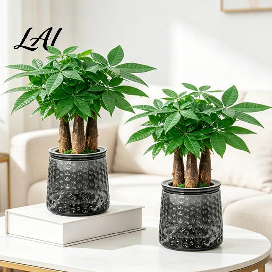 Decorative Aesthetic Flower Pots Self‑Watering Planter Pot Thick Transparent Embossed Desktop Vessels Indoor for Hydroponic Houseplants Succulents