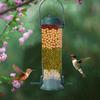 Hanging Transparent Myna Indoor Plastic Parrot Food Container Bird Feeder Pet Feeder Bird Food Box