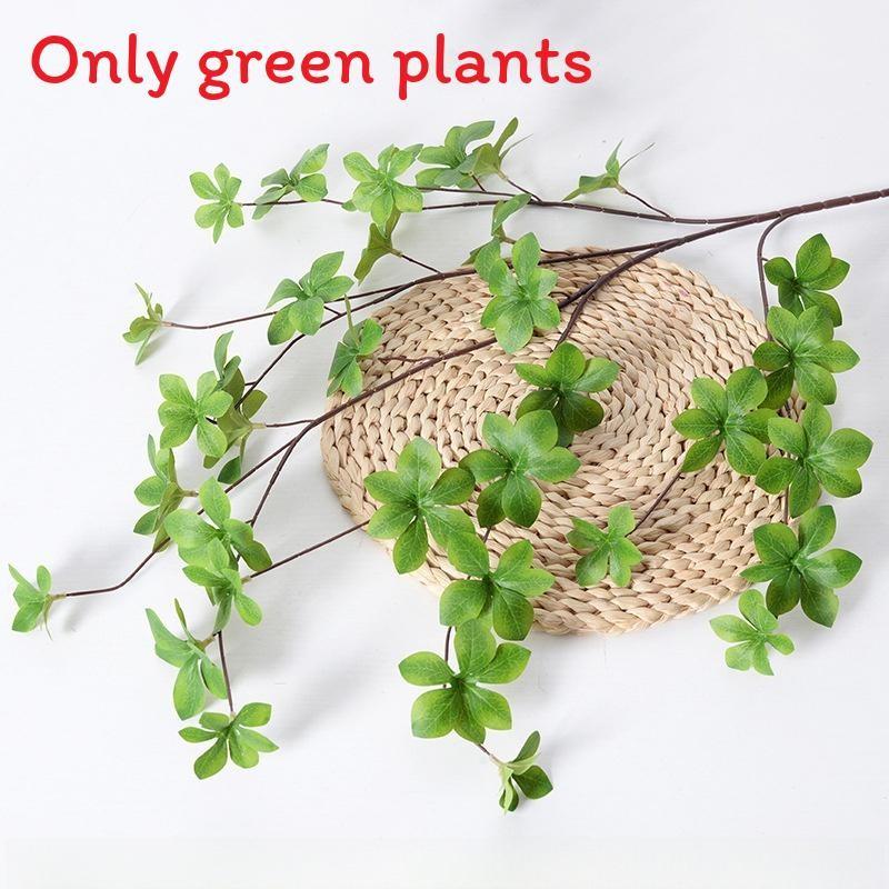 Liebm Deliciosa Monstera And Eucalyptus Citriodora Hook Green Decor Plants